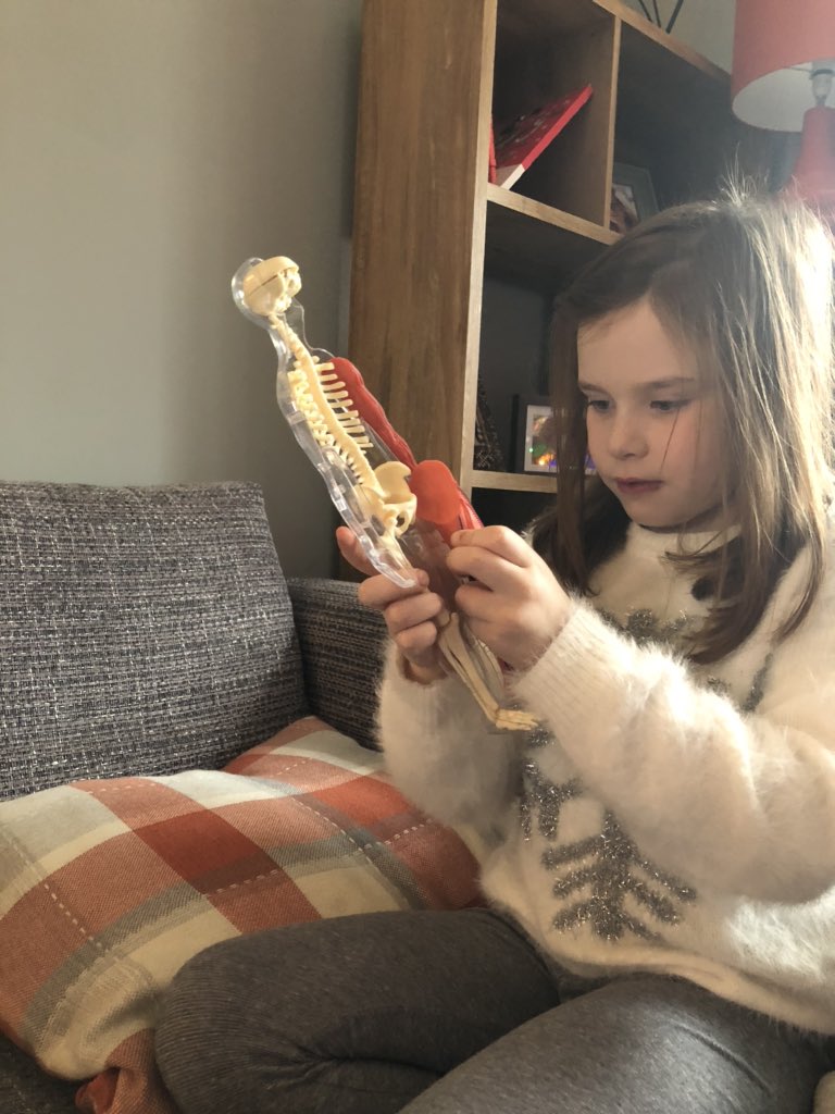 loopylouhunter's tweet photo. @MissRoss_5 @westquarterdht learning about what all the body parts are called, how to say them, and where they go. #homesurgery 👩⚕️🔬. A past tweet someone wanted to share as they are excited about learning about “the body parts” https://t.co/6Txis0EVF4