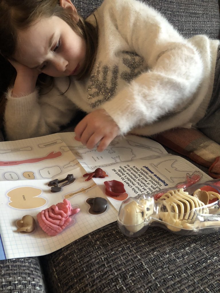 loopylouhunter's tweet photo. @MissRoss_5 @westquarterdht learning about what all the body parts are called, how to say them, and where they go. #homesurgery 👩⚕️🔬. A past tweet someone wanted to share as they are excited about learning about “the body parts” https://t.co/6Txis0EVF4