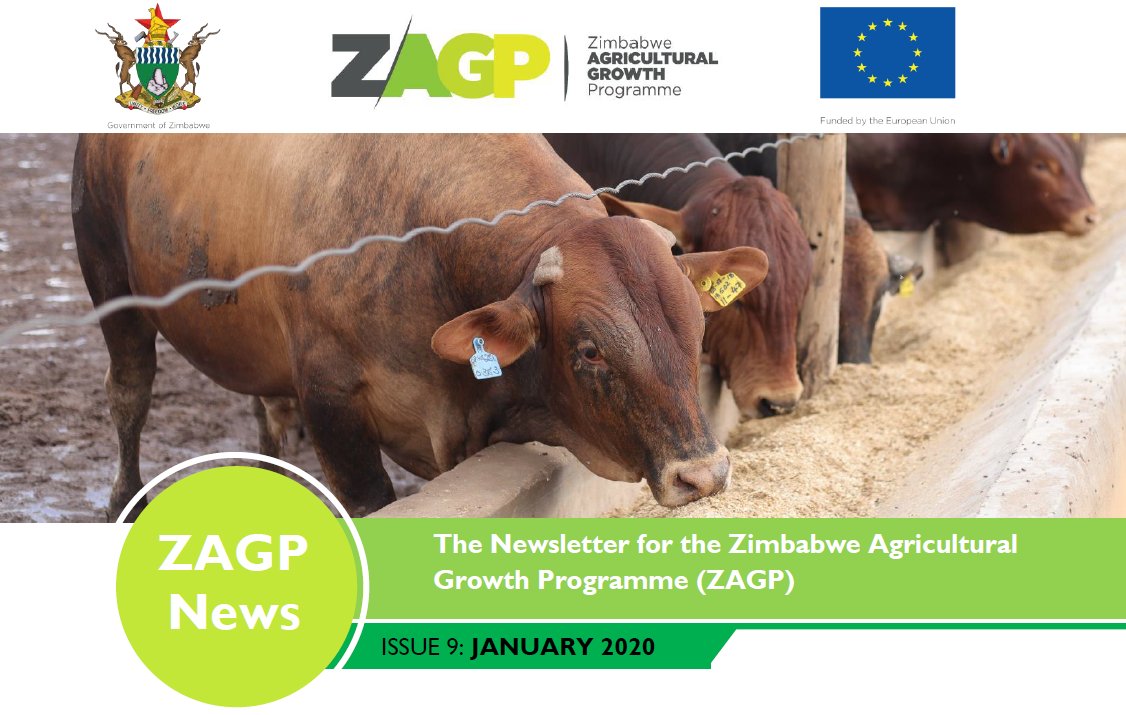 ZAGPInfo's tweet photo. The January issue of #ZAGP News is now out. The focus on lowering feed costs for livestock farmers. Feeds constitute the highest cost item in livestock production. Download the issue and learn about ZAGP’s strategies and innovations to reduce feed costs. https://t.co/PUvMbamKb8 https://t.co/F2iPkuNXvh