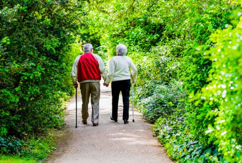 "Het project Groen Voor Grijs vertelt een verhaal. Het verhaal van hoe een groene woon- en leefomgeving (en vooral ook het samen aanleggen en onderhouden daarvan) bijdraagt aan de sociale samenhang in straten en buurten en het welzijn van mensen". 
nahf.nl/groen-voor-gri…
