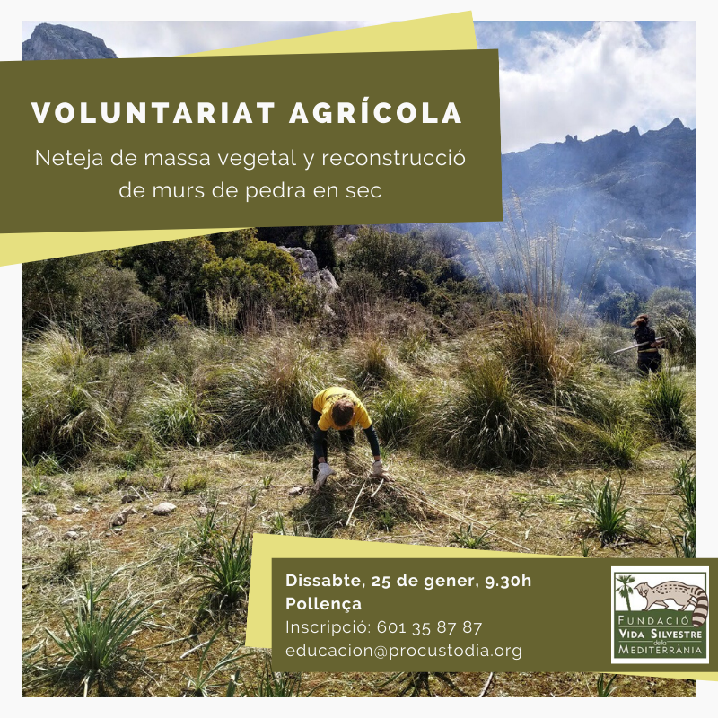 FVSM4's tweet photo. Bon dia. Us donam a conèixer la nostra activitat de voluntariat a #Ariant de gener, aquest dissabte dia 25. Us hi podeu inscriure des de ja. Ajudau-nos a difondre-la compartint el cartell.
Moltes gràcies 😉💚 https://t.co/1SwiLvosbd