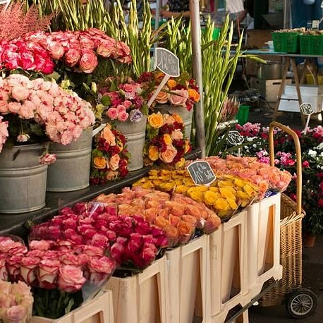 StdDesignHotel's tweet photo. Si vous passiez un weekend à Paris, pourquoi ne pas visiter les plus beaux marchés ouverts de la capitale?! Marché Alligre et une petite balade depuis @StdDesignHotel ! 😉💕 #marchealligre #bonsplans #visitparis #instagood #standarddesignhotel #bookhotel https://t.co/iV3fpiuL5v