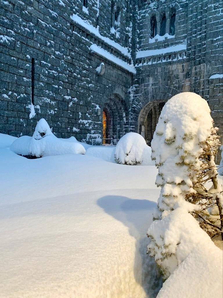 Vall de Núria tweet media