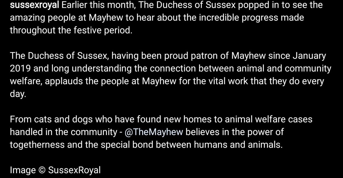 AvsRoyalSussex's tweet photo. New #SussexRoyal IG post
The Duchess of Sussex visited @themayhew earlier this month! The Mayhew is one of Meghan's UK patronges
#sussexsquad #megulators #duchessofsucess #DuchessofSussex #DuchessMeghan #MeghanMarkle #DuchessofSussex #MeghanWindsor
📷©️ © SussexRoyal https://t.co/MVsOrCNYkc