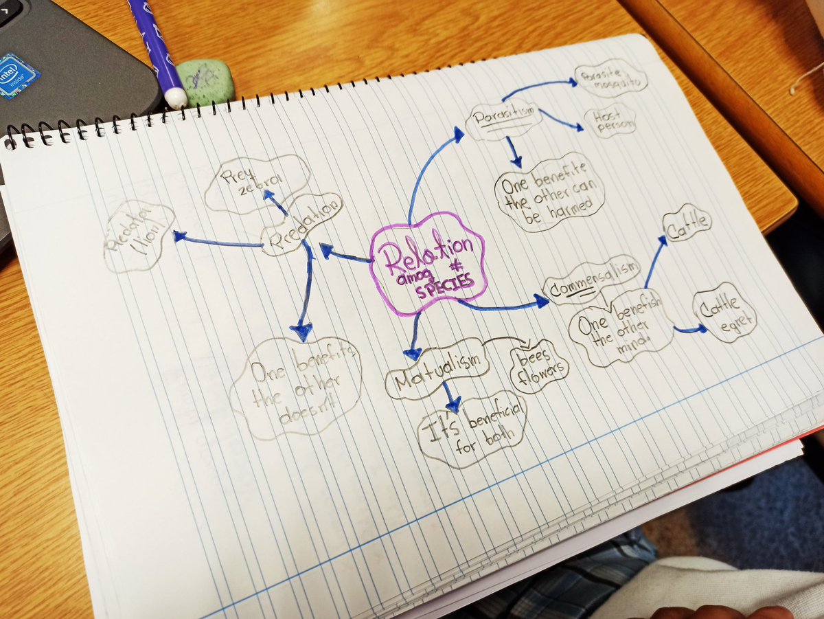 LaMilaenglish's tweet photo. Mind maps to study #thebiosphere in year 5.
Mapas mentales para estudiar el tema de la biosfera en 5° de primaria.
#studyingscience
#doandlearn https://t.co/JYgq7v2f4N
