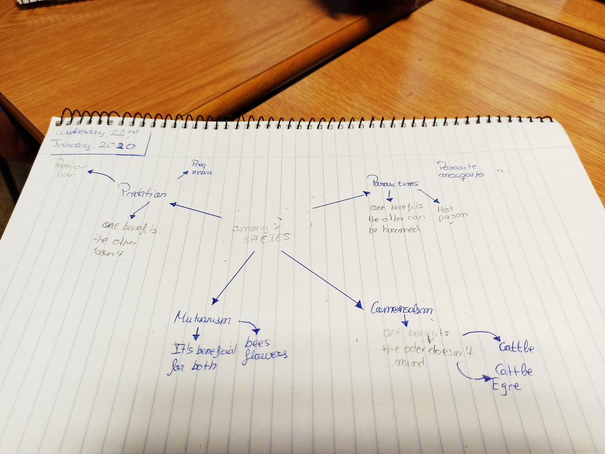LaMilaenglish's tweet photo. Mind maps to study #thebiosphere in year 5.
Mapas mentales para estudiar el tema de la biosfera en 5° de primaria.
#studyingscience
#doandlearn https://t.co/JYgq7v2f4N