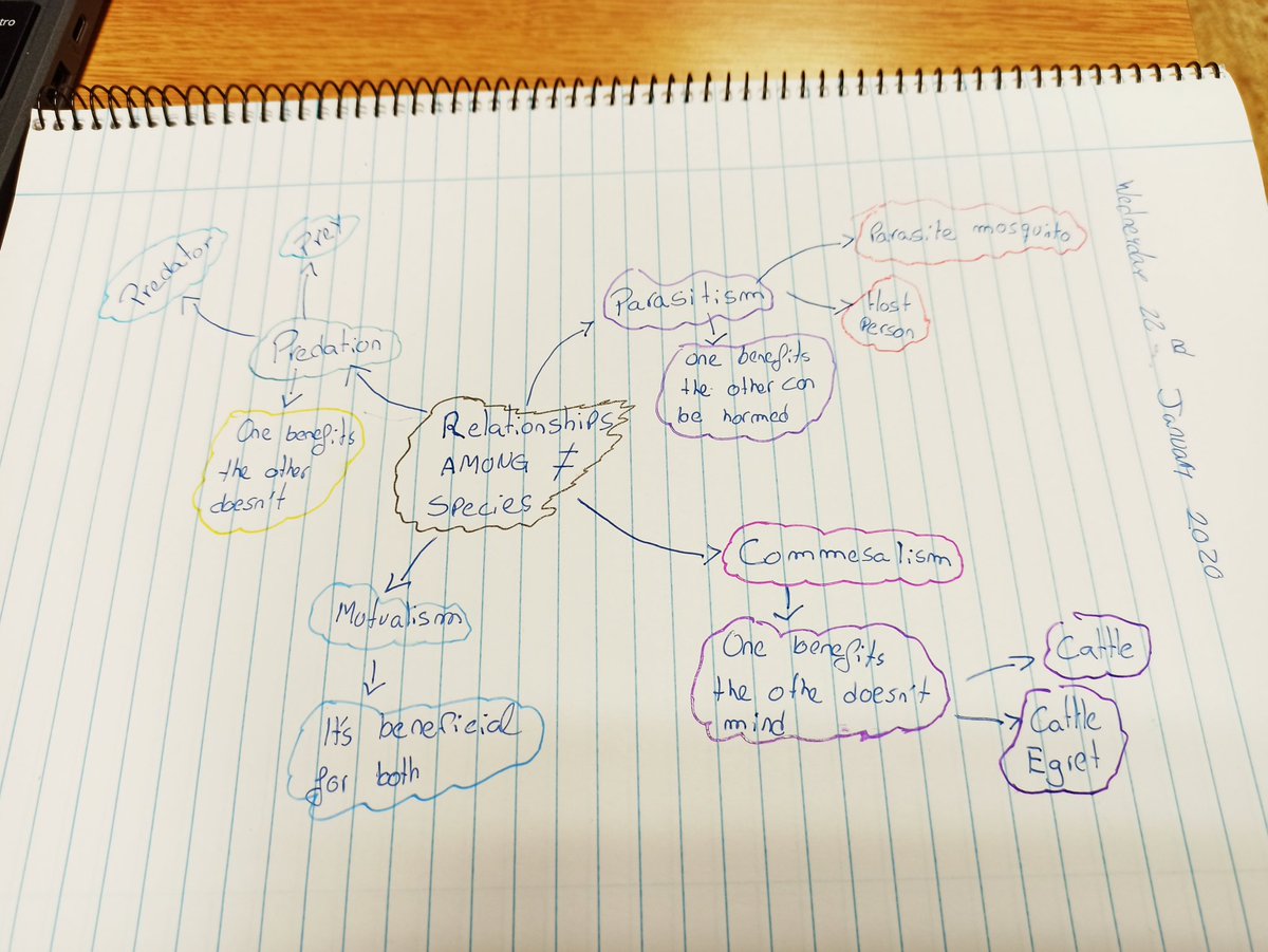 LaMilaenglish's tweet photo. Mind maps to study #thebiosphere in year 5.
Mapas mentales para estudiar el tema de la biosfera en 5° de primaria.
#studyingscience
#doandlearn https://t.co/JYgq7v2f4N