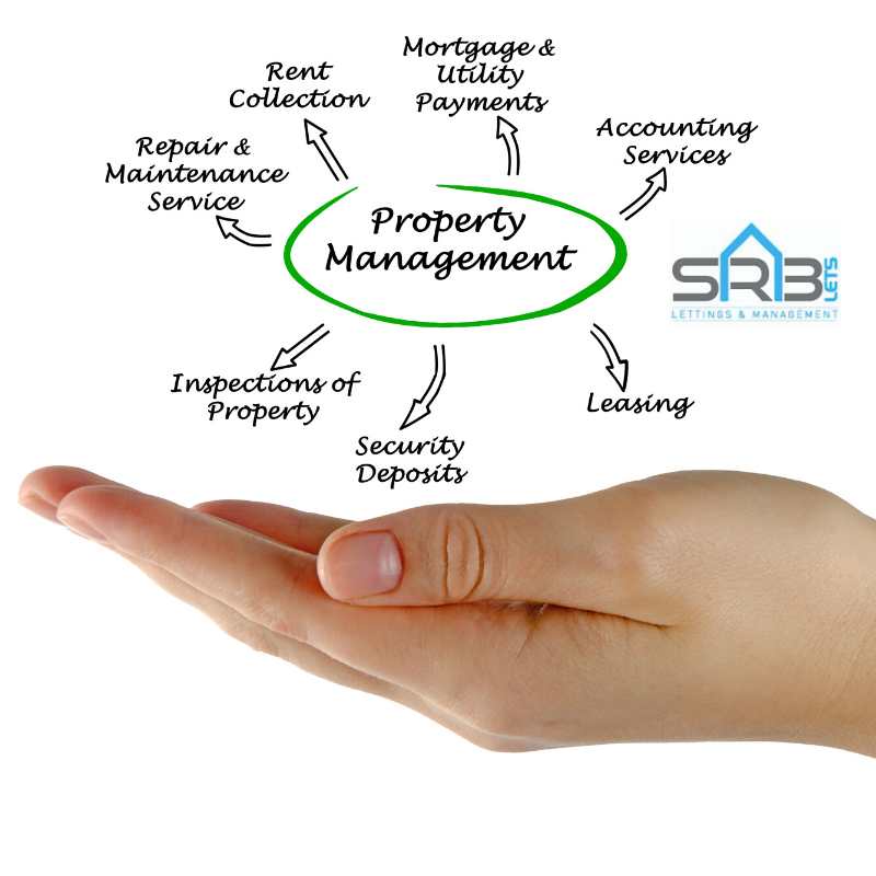 LetsSrb's tweet photo. Looking for a great place to protect your property investments?

Get in touch...

#propertymanagement #managingagents #investor #hmo #lettings #Willesden #proptech #section21 https://t.co/lcZwDzwTjQ