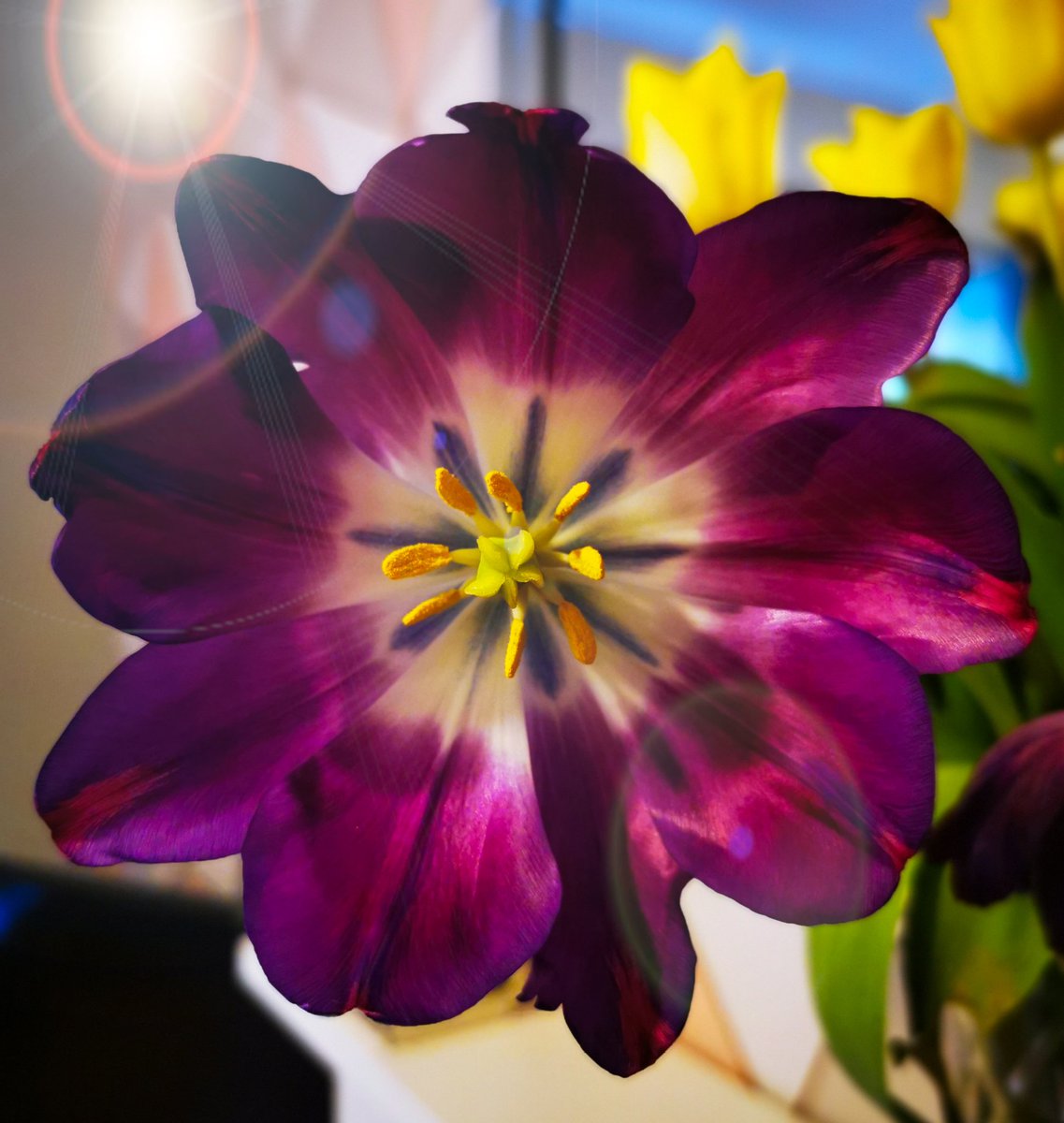 HuaweiMobileUK tweet picture