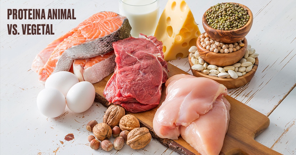 infisport's tweet photo. 🧐¿Sabes la diferencia entre proteína animal y vegetal  🤔?.
👉🏽 Te recomendamos este interesante artículo de nuestro
✏️ #InfisportBlog para que aumentes tu conocimiento sobre ellas⚡️.
https://t.co/0s3XLVSzUc

#ElÉxitoEsUnaElección https://t.co/JukTwfvl3E
