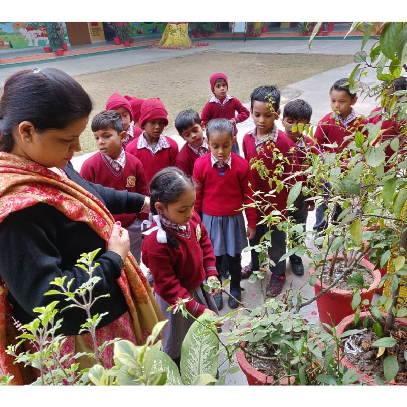 sefconnect's tweet image. There&apos;s no better to learn about plants than observing nature itself 🌱

Mamta Ma&apos;am ensuring her 2nd graders are actively engaging and learning inside &amp;amp; outside the classroom. 

#handsonlearning #pathtotransformation #KeepitSimple