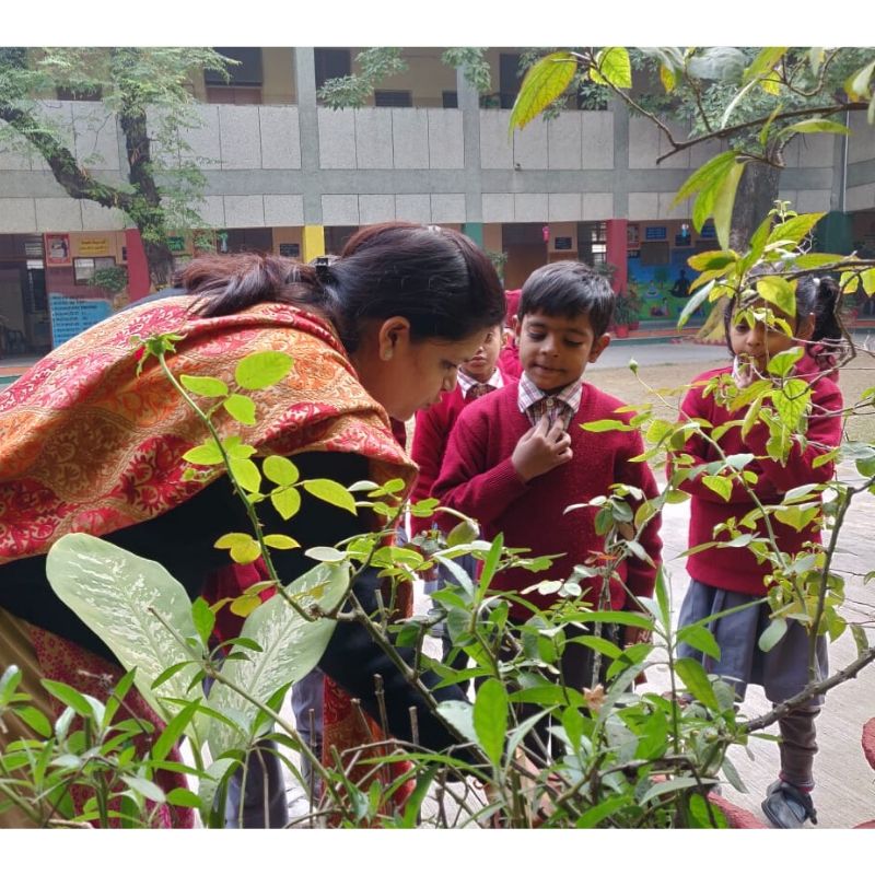 sefconnect's tweet image. There&apos;s no better to learn about plants than observing nature itself 🌱

Mamta Ma&apos;am ensuring her 2nd graders are actively engaging and learning inside &amp;amp; outside the classroom. 

#handsonlearning #pathtotransformation #KeepitSimple