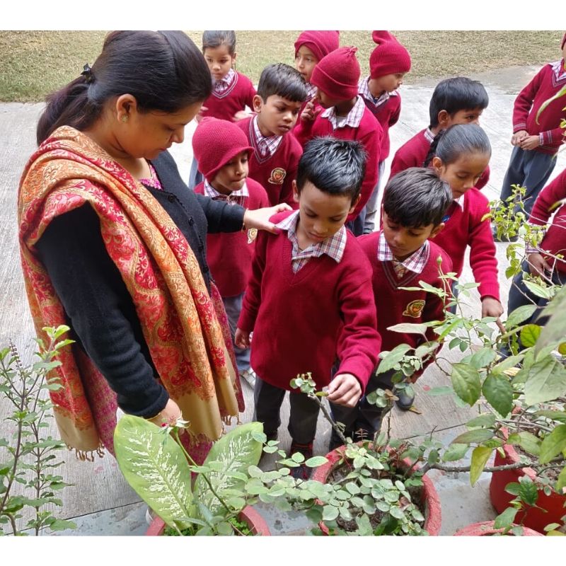 sefconnect's tweet image. There&apos;s no better to learn about plants than observing nature itself 🌱

Mamta Ma&apos;am ensuring her 2nd graders are actively engaging and learning inside &amp;amp; outside the classroom. 

#handsonlearning #pathtotransformation #KeepitSimple