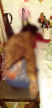 Ver imagen en Twitter