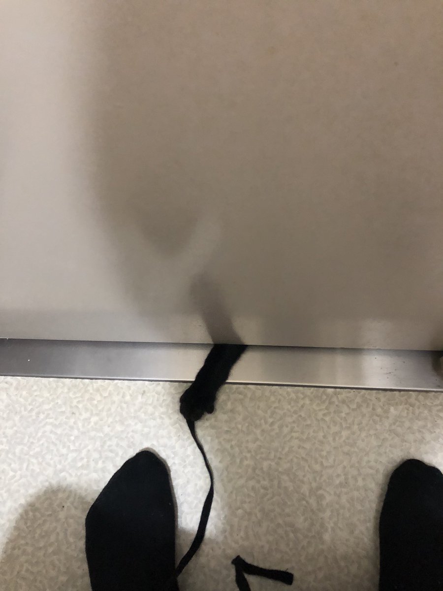 yuji2563's tweet photo. 💩なうなのに https://t.co/RLuVLIs3bw