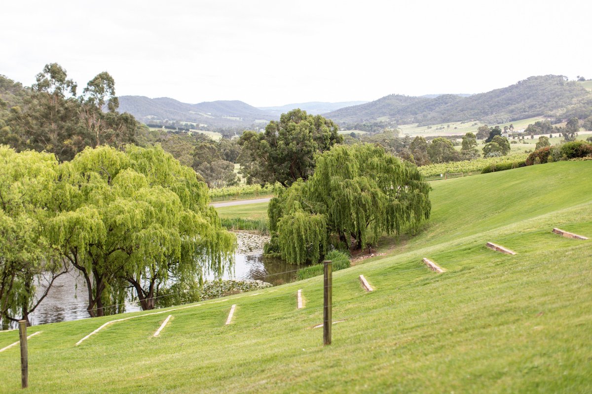 Spend your weekend on the grounds of our Estate. Even if the weather hasn't turned it on, this view will always satisfy. 🖼