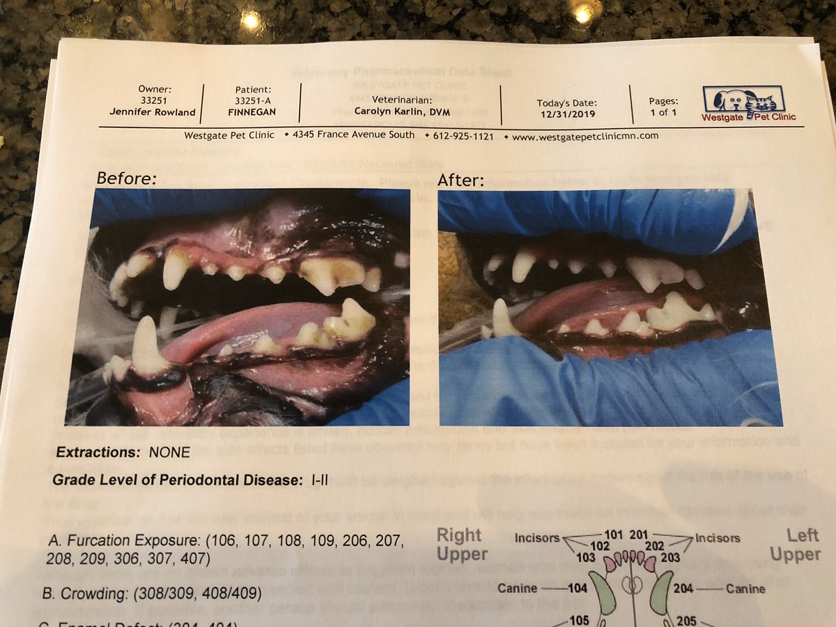 prowland11's tweet photo. Follow up w results from teeth cleaning https://t.co/cozJ73vNdh