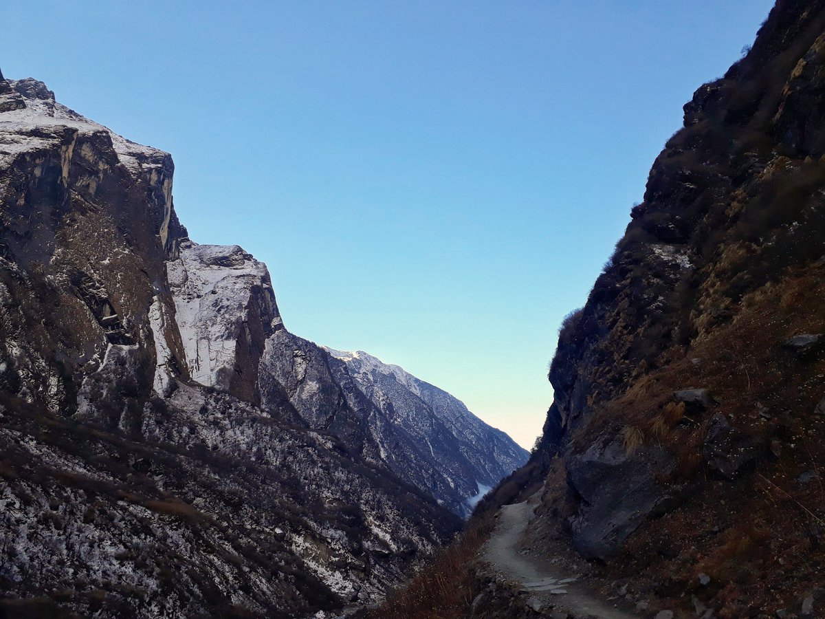 journeyoframesh's tweet photo. “If you truly love nature, you will find beauty everywhere.”
Somewhere between Deurali and Machapuchhre Base Camp en route Annapurna Base Camp.
#visitnepal2020 #gadventure #natgeo @RONBupdates @gadventures https://t.co/oaiwqOlfaU