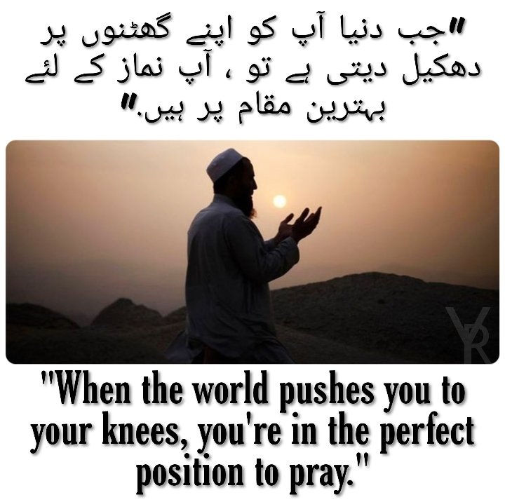 Ya_Refai's tweet photo. When the world pushes you to your knees, you're in the perfect position to pray. 

#pray #yarefai #yr #imamaliquotes https://t.co/4dLBHoJLIc