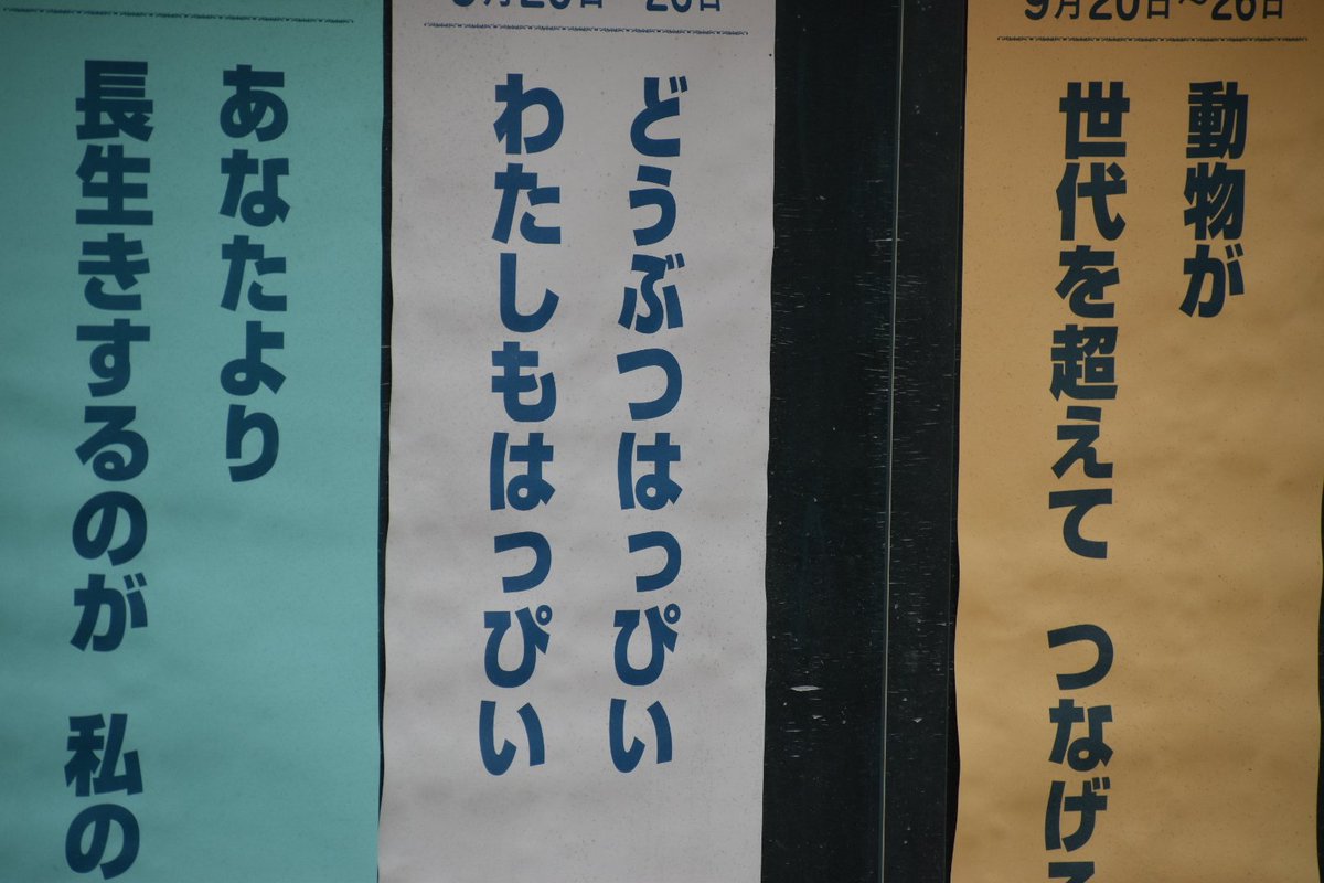 わかる… 
