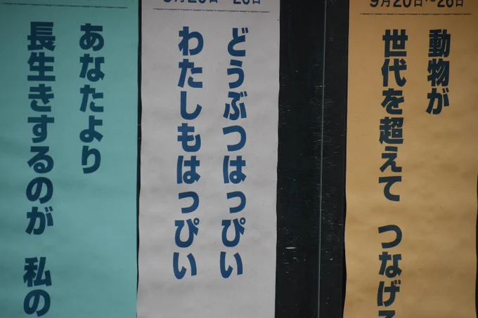 わかる… 