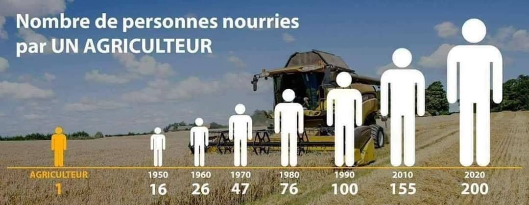 agrikol's tweet photo. Ne mords pas la main de celui qui te nourrit 😌 https://t.co/ehy0AOvwyR