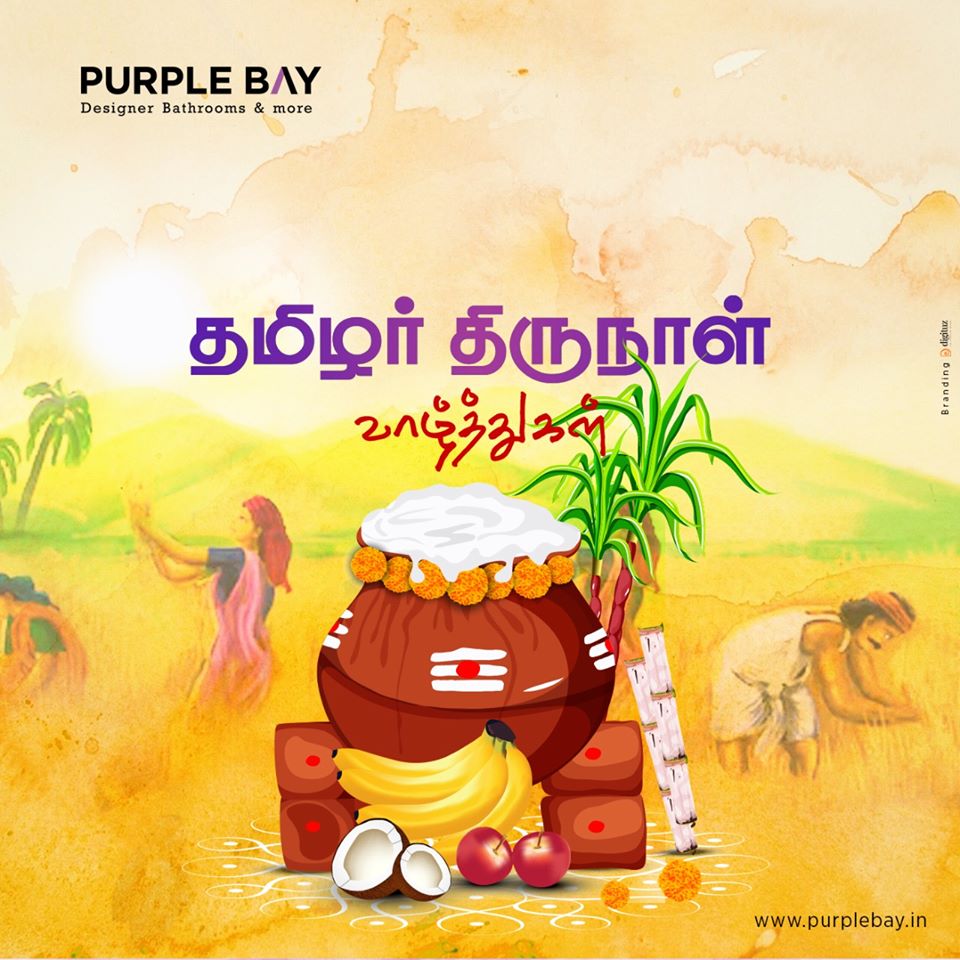 பொங்கல் திருநாள் நல்வாழ்த்துகள்!

#pongal #pongalopongal #happypongal #thaithirunal #tamilar #Jan15 #Pongal2020 #Purplebay #Coimbatore