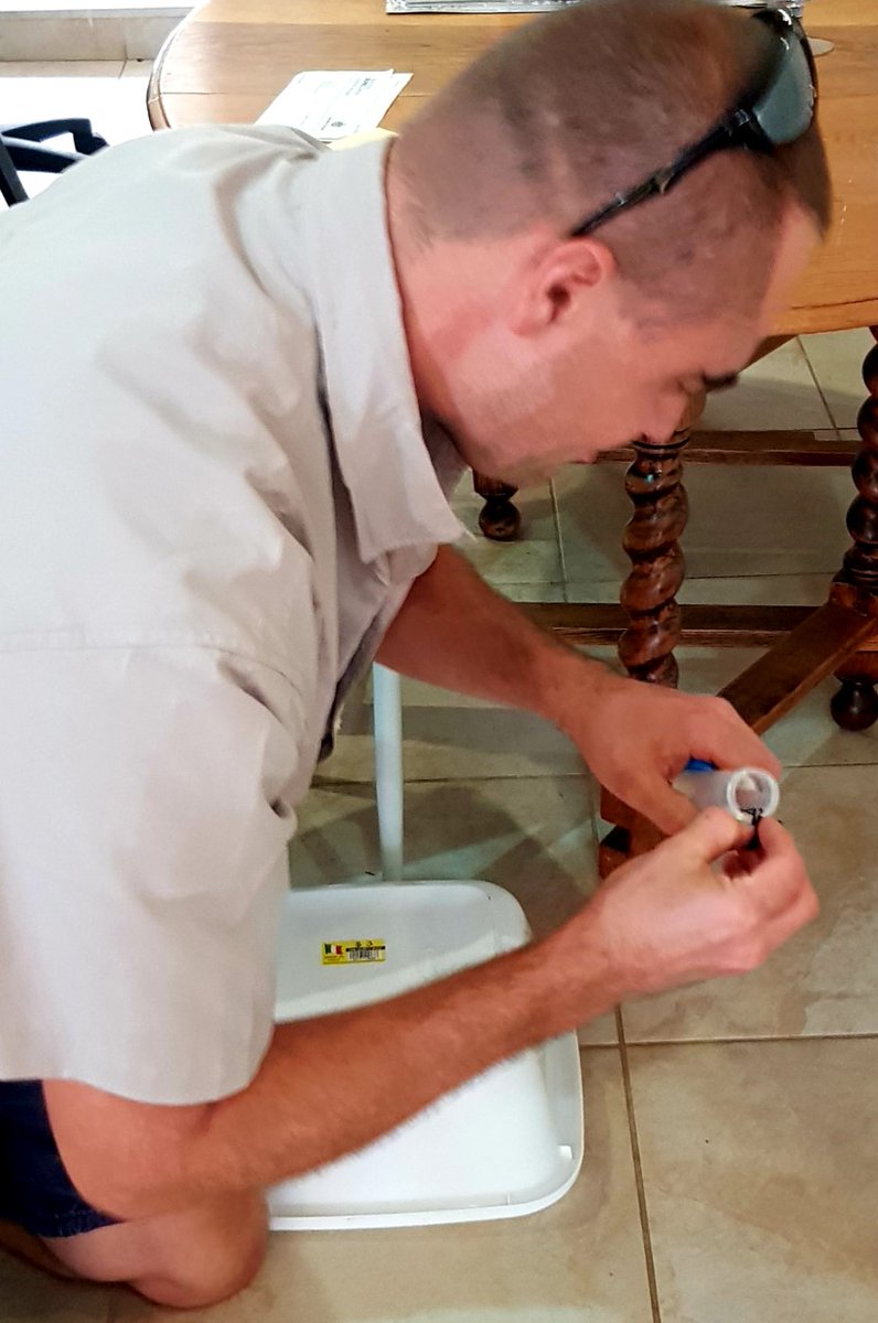 SamNScience's tweet photo. Huge thanks to @K8CS who called us about this beautiful Northern Mouse spider running around her kitchen! A plastic tub kept him safely tucked away until our fearless spider wrangler Volker could catch him! Don't try picking spiders up at home kids, leave that to the experts! https://t.co/jahT2BOuVW