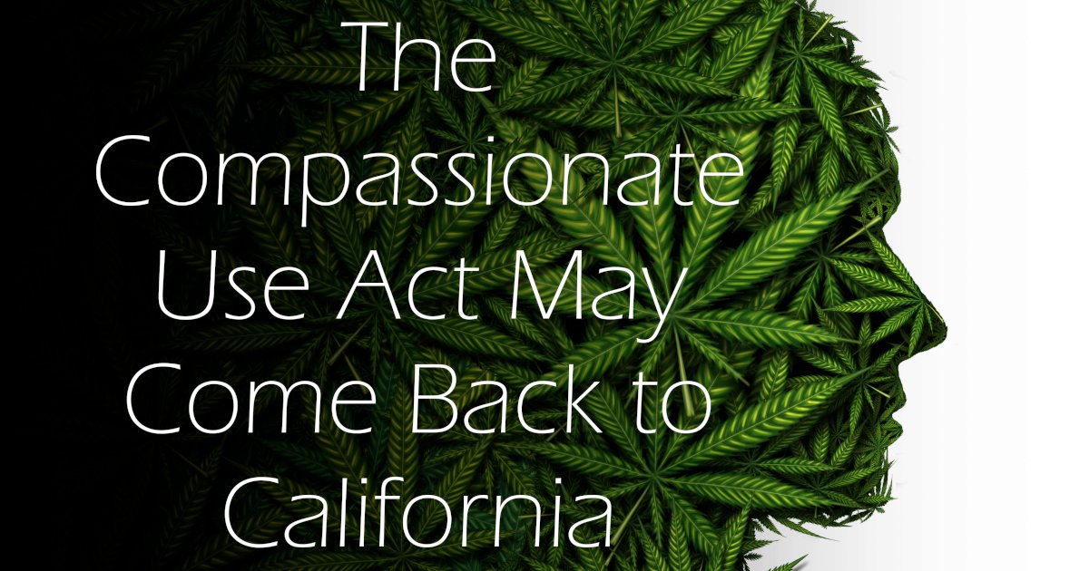 harbormmcc's tweet photo. California may get a little more compassion once again according to new changes to the Compassionate Use Act. 

Learn more about what this state-setting piece of legislation has to offer.

https://t.co/IucEOoQTn9

#legislation #compassion #medicalcannabis #california #CBD #CBDOil https://t.co/95n1H3i52w
