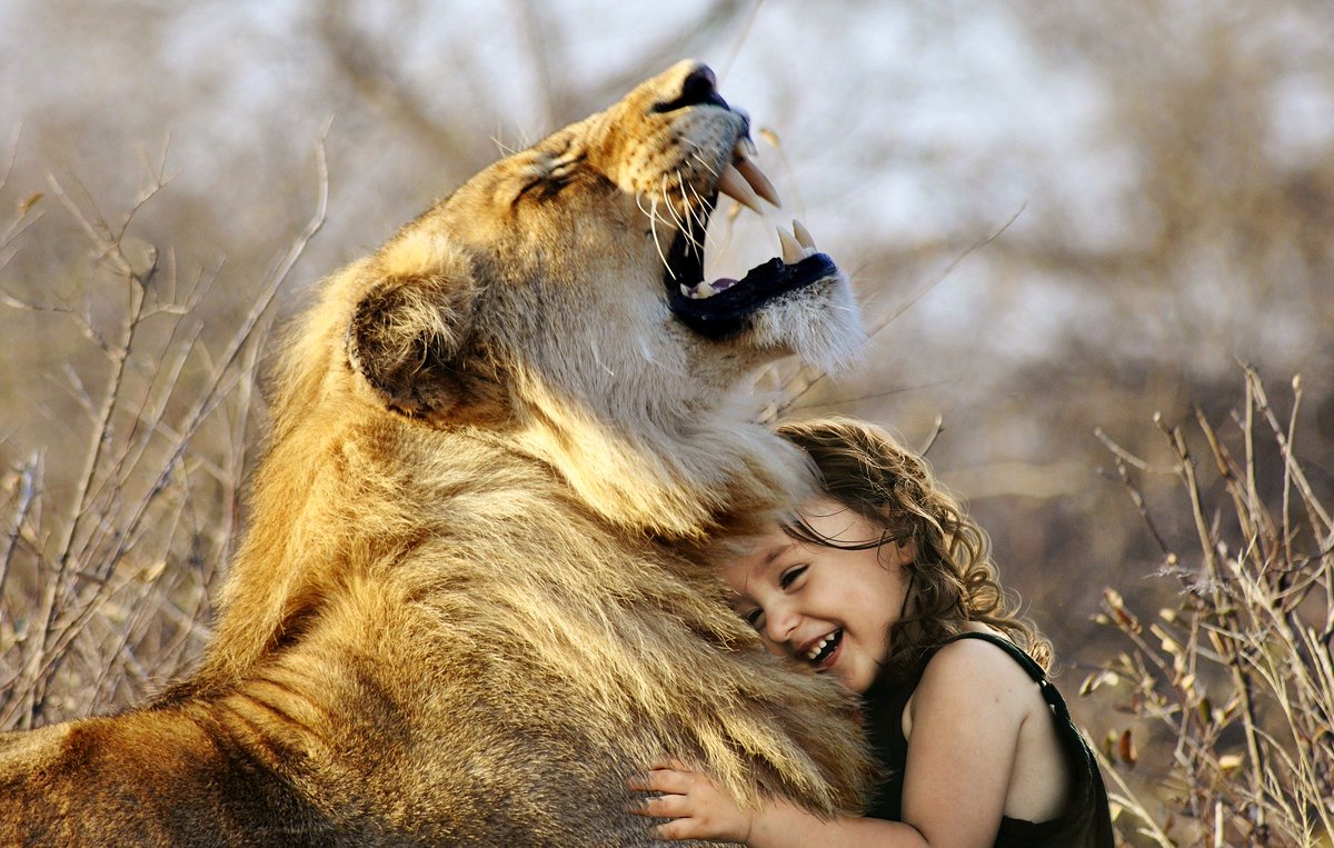 LifeBun1's tweet photo. Love is not what you say. Love is what you do. #love #wildlifephotography #Lion #WednesdayThoughts #WednesdayVibes #wednesdaymorning #WednesdayMotivation #lifebun #PhotoOfTheDay https://t.co/KXHrAvwEfg