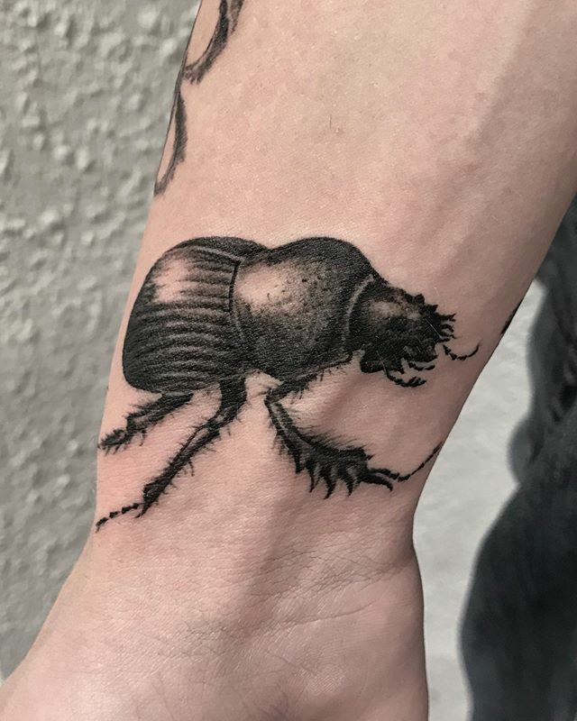 Rrrrremy's tweet photo. •🕷 E v o l u t i o n 🕷 •
.
.
.
Part 1 - Dung beetle for biologist Jack, the start of his sleeve inspired by the evolution of species on our planet. Learning so much along the way on this one! Particularly fun learning how slugs mate (go search it!) Thanks so much Jack! U… https://t.co/BJjUby7kty