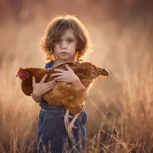 Barb BogaRosh tweet media