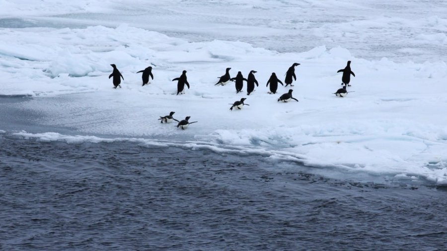 EO3b6OGUUAEUgyC?format=jpg&name=900x900