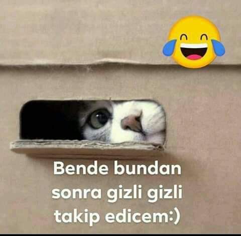 cantanem🚫takibe 👇takip 🇹🇷 (@semihag08075279) on Twitter photo 