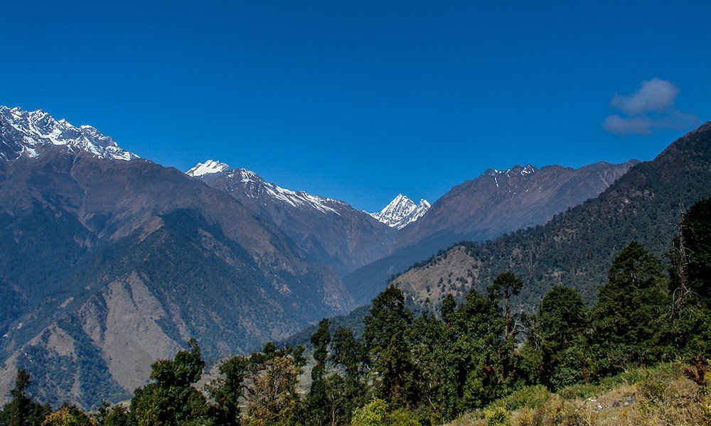 RWA_Secondary tweet media