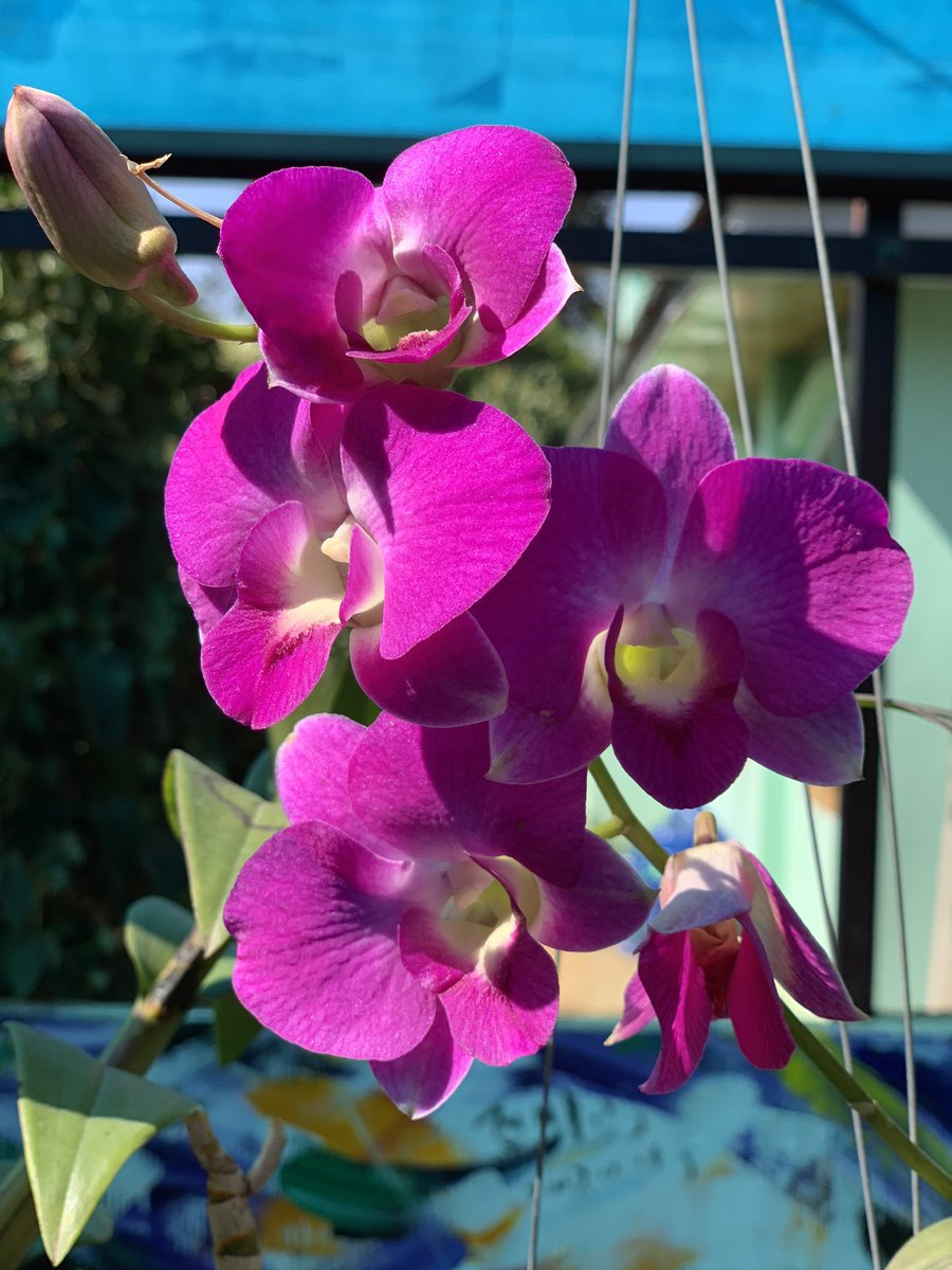 marcozennaro's tweet image. Workshop on IoT and AI in Myanmar has started today! Great to be here with colleagues from KIC, Japan. #IoT4D