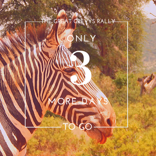 GrevysRally's tweet photo. ONLY 3 DAYS LEFT! The flag off will be on the at Cape Chestnut on Friday 24th January, Registration will open at 8.00 am so for those of you going far come in early to allow time to get to your assigned areas and set up camp.The official flag-off will be from 12.00 pm to 1.00 pm. https://t.co/tWUKyv0etj