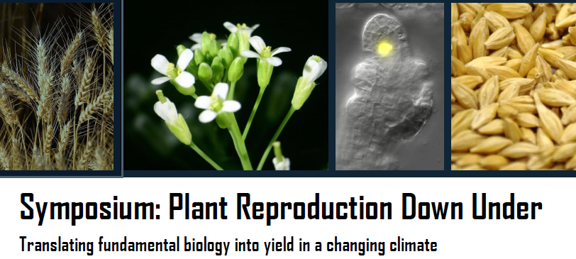 waiteresearch's tweet photo. Register now for the free Plant Reproduction Down Under Symposium, translating fundamental biology into yield in a changing climate! 3-4 February at the @UniofAdelaide Waite campus. @plantsexDU @drtucks #plantscience https://t.co/JnYRMqBJpP https://t.co/5sniYJ6ywf