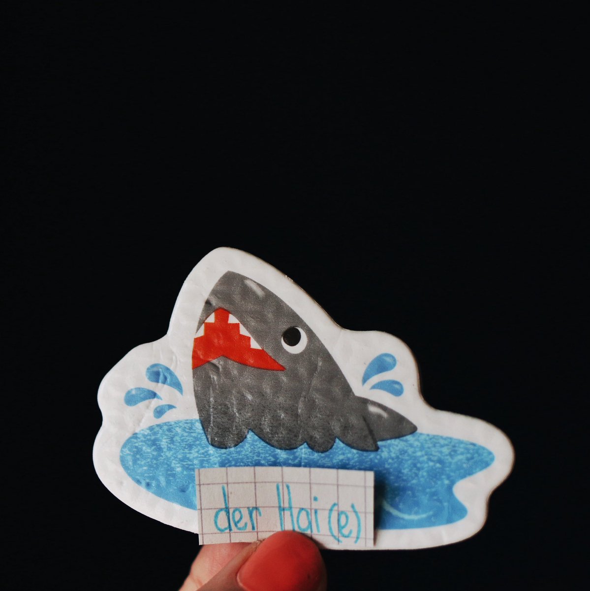 🦈🦈🦈
der Hai - shark