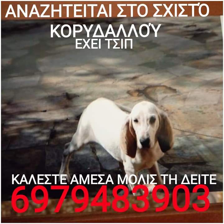 adespotos_'s tweet photo. https://t.co/sH4XaWw2kc