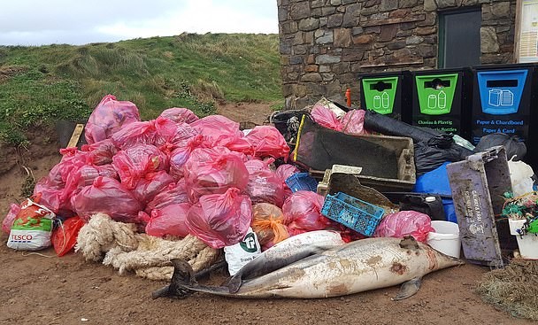 Blue Planet Society tweet media