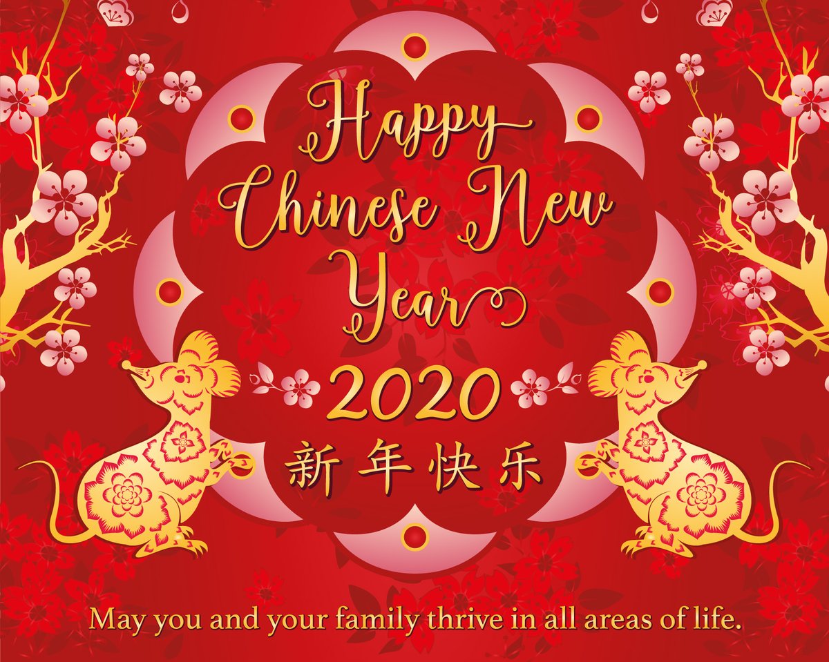 International School of Nanshan Shenzhen (ISNS) (@isns_school) on Twitter photo 