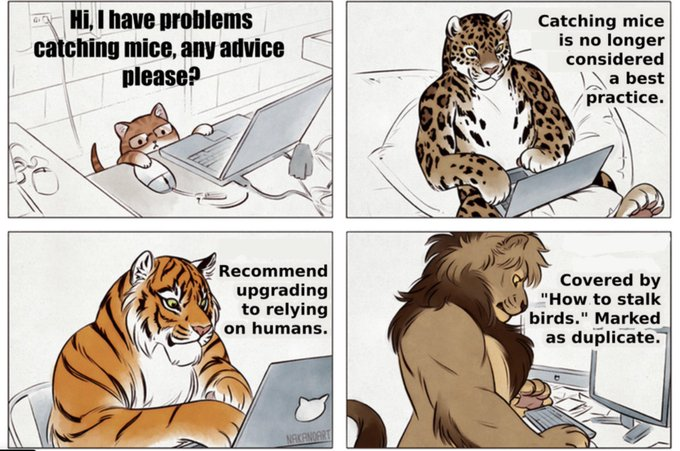 Cat overflow.
House cat: hi, I'm having trouble catching mice, any advice, please?
Leopard: catching mice is no longer considered best practice.
Tiger: recommend upgrading to relying on humans.
Lion: covered by "how to stalk birds" - marked as duplicate.