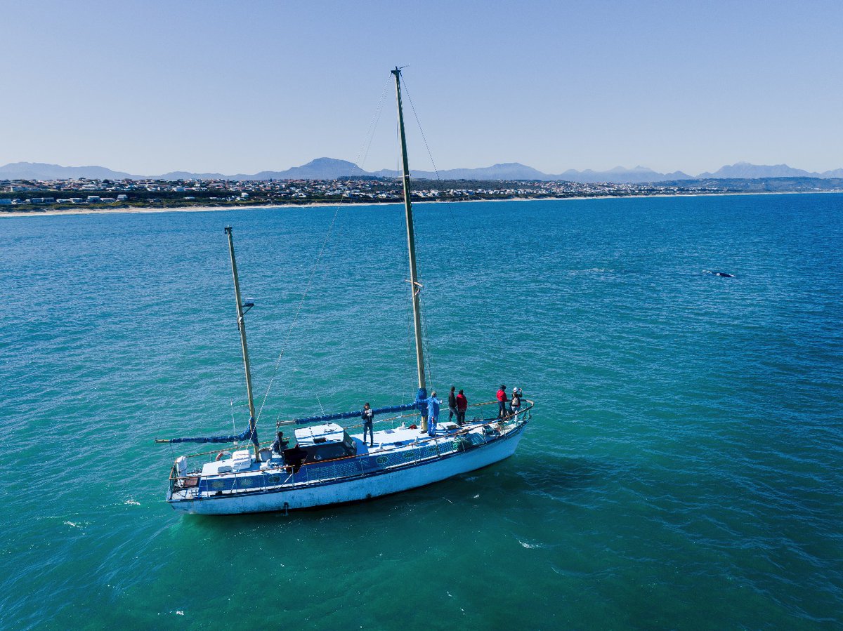 romonza's tweet photo. Meet.. #romonza for all #sealislandtrips, #sunsetcruise and #whalewatching (in season)@grkk1 @discoverctwc @ShotLeft @GetMe2MosselBay @DirtyBootsGuide https://t.co/Ipk3T0Xuoi