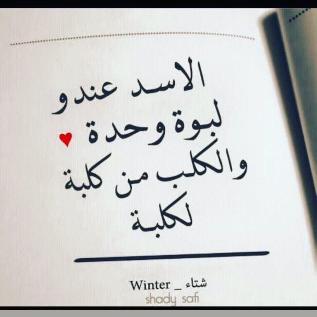 saraabor's tweet photo. https://t.co/McY5ufr7vj