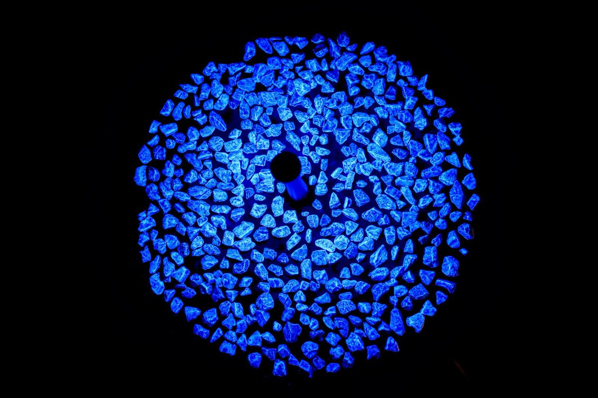 Vanmorgen het #lichtmonument Levenslicht mogen onthullen in het bijzijn van veel belangstellenden waaronder de schoolkinderen van de Bosseschool en de Groen van Prinstererschool.