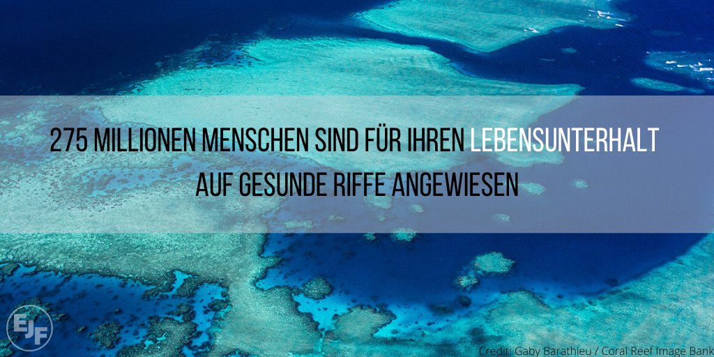 EJF_de's tweet photo. Mehr als nur hübsch anzusehen: #Korallenriffe liefern Nahrung &amp; Einkommen für Millionen von Menschen weltweit. Doch wir könnten sie für immer verlieren! Unser neuer Bericht erklärt, was wir tun müssen, um sie zu schützen.
 ➡️ https://t.co/uX2o1G47JF
#FishForwardEU https://t.co/Pp5uuQDZeL