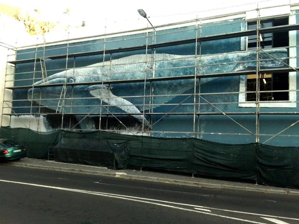 SilviaCorreia05's tweet photo. Mural by Marcos Milewski on a parking lot wall. #UrbanArt, #MarcosMilewski.
"Advice from a whale: Make a splash! Move with grace and beauty. Explore the depths of your true nature. Think big. Keep a song in your heart. Remember to come up for air. No blubbering!" #IlanShamir https://t.co/VEHw5omQFn