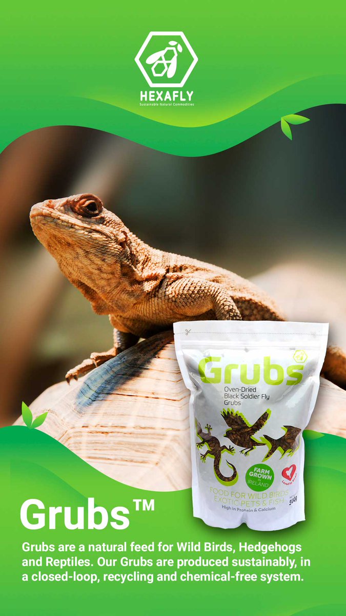 Jam-packed with important minerals, Grubs™ are a natural feed for Wild Birds, Hedgehogs and Reptiles. Our Grubs™ are produced sustainably, in a closed-loop, recycling and chemical-free system. 
Buy online: hexafly.com/product/hexagr…