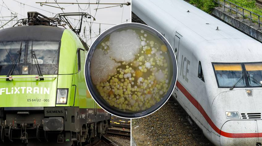 BILD's tweet photo. Wie verkeimt sind Deutschlands #Fernzüge? Die Hygieneanalyse von Deutschlands größtem Reisemagazin #TRAVELBOOK liefert Antworten. https://t.co/Ezg6ZWMEFa #bahn https://t.co/8OCckXeP98